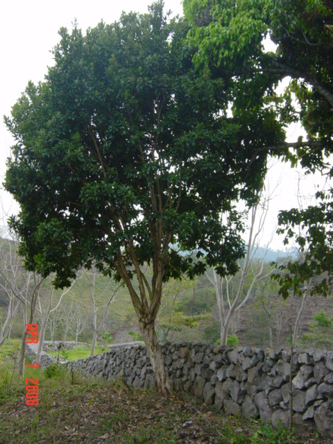 Foto de Santa Barbara, Honduras