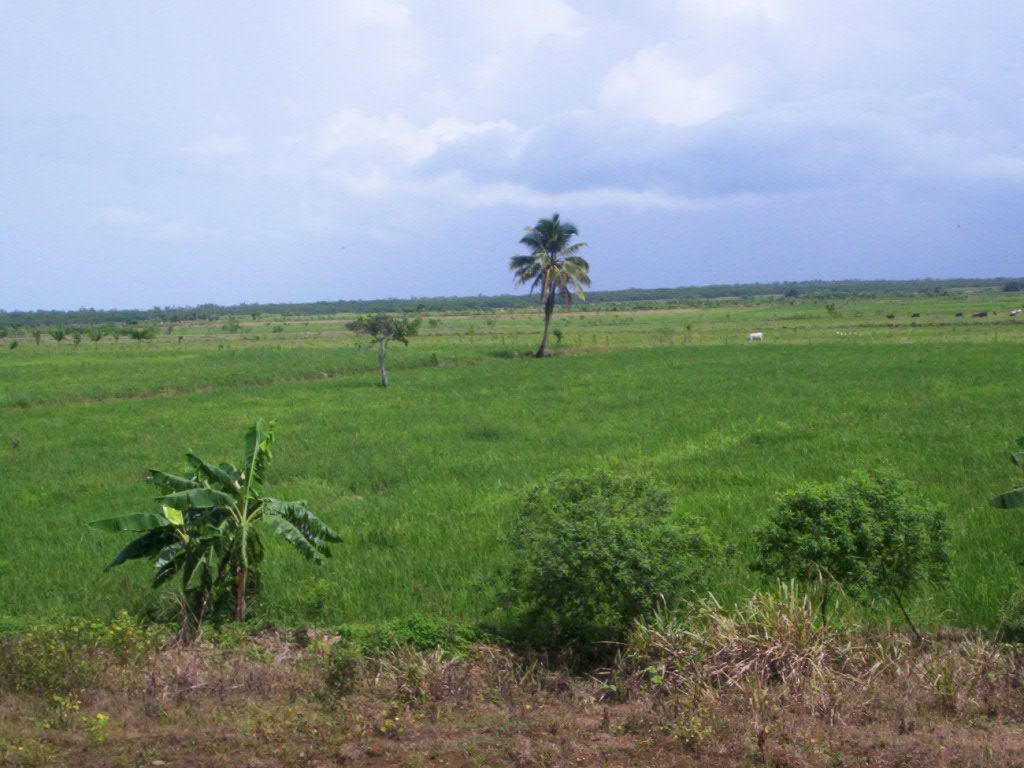 Foto de Miches, República Dominicana