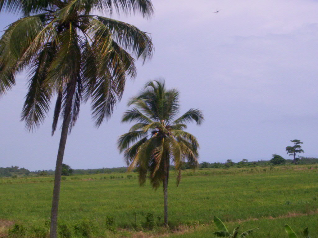 Foto de Miches, República Dominicana