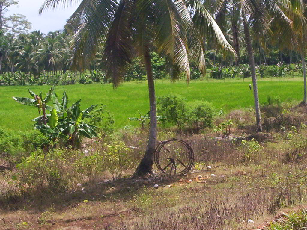 Foto de Miches, República Dominicana