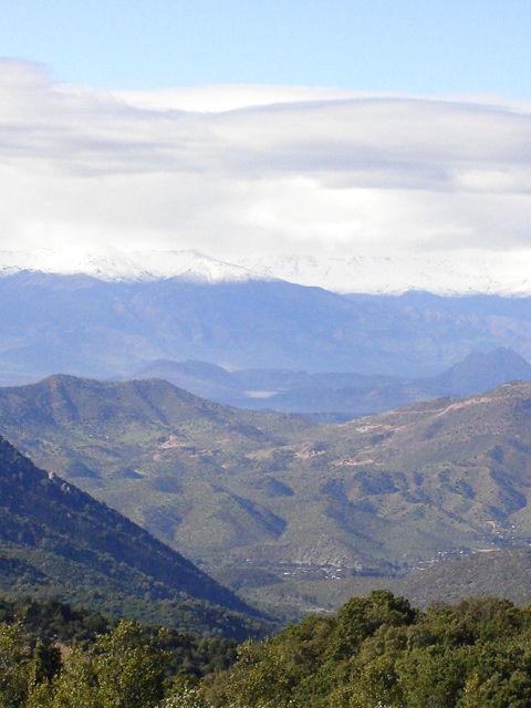 Foto de OLMUE, Chile