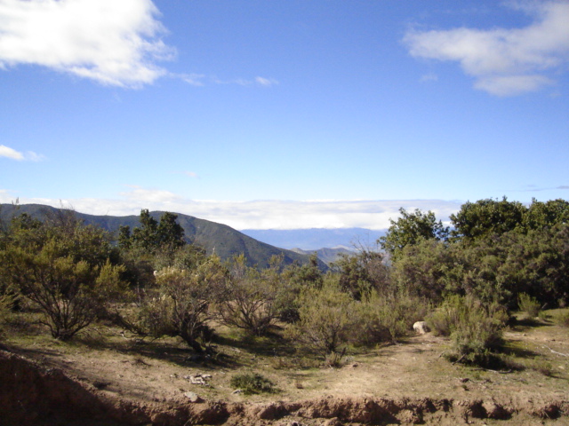Foto de OLMUE, Chile