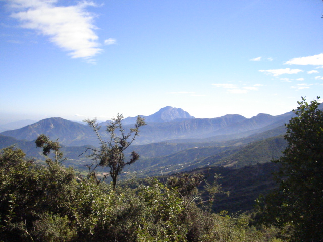 Foto de OLMUE, Chile