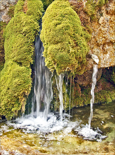 Foto de Chaorna (Soria), España
