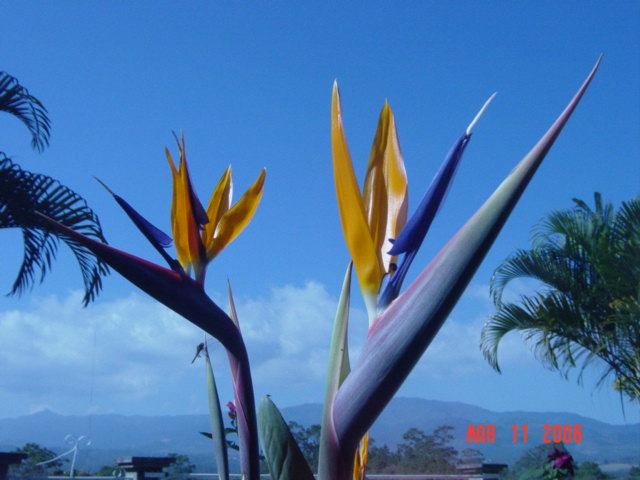 Foto de Siguatepeque, Honduras