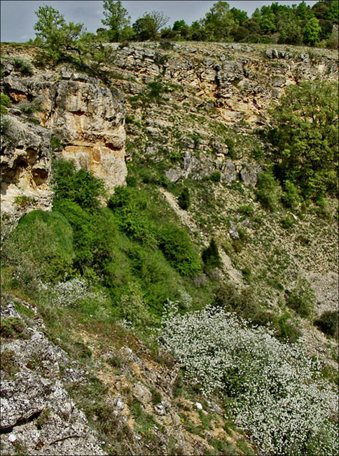 Foto de Sagides (Soria), España