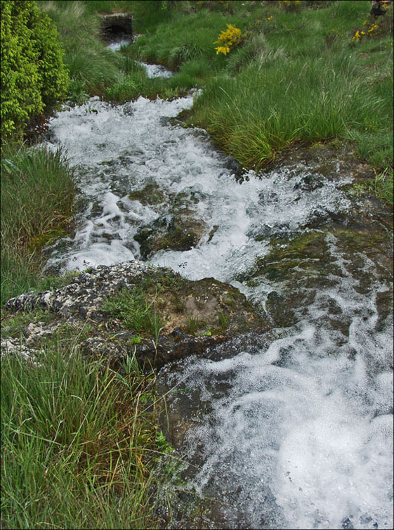 Foto de Urex de Medinaceli (Soria), España