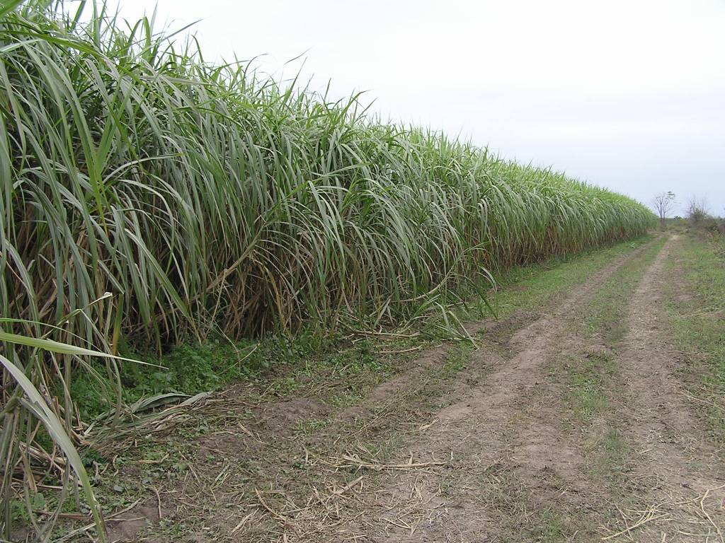 Foto de Tucumán, Argentina
