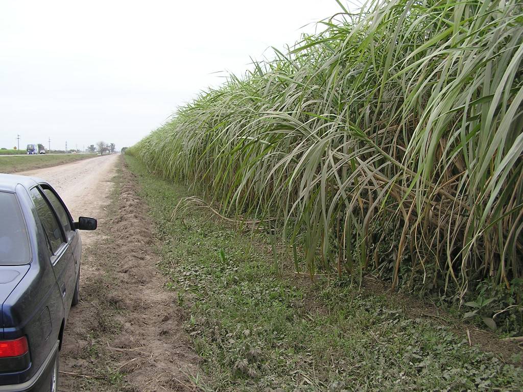 Foto de Tucumán, Argentina
