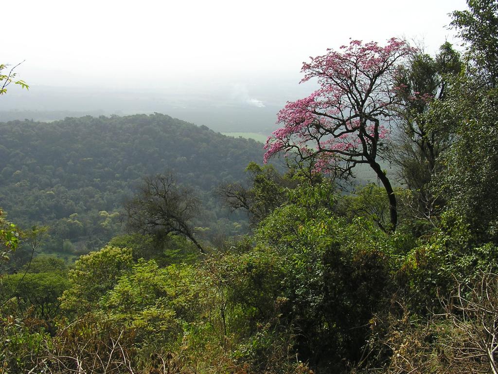 Foto de San Pablo, Argentina