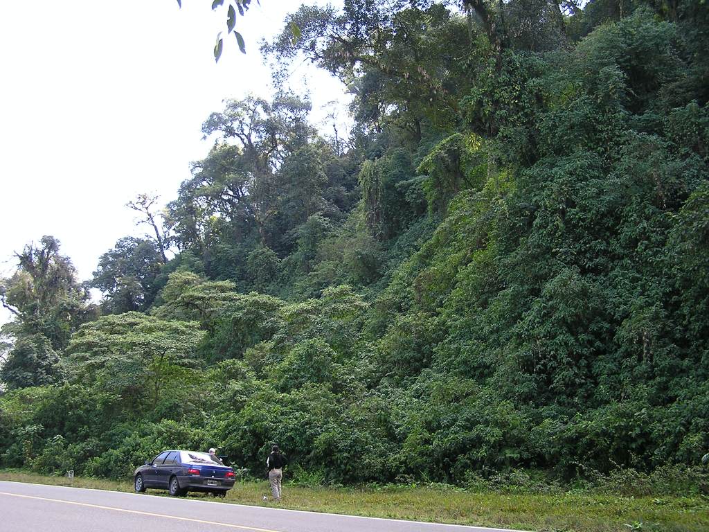Foto de Reserva Natural Los Sosa, Argentina