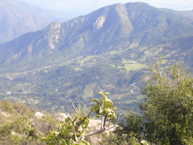 Foto de OLMUE, Chile