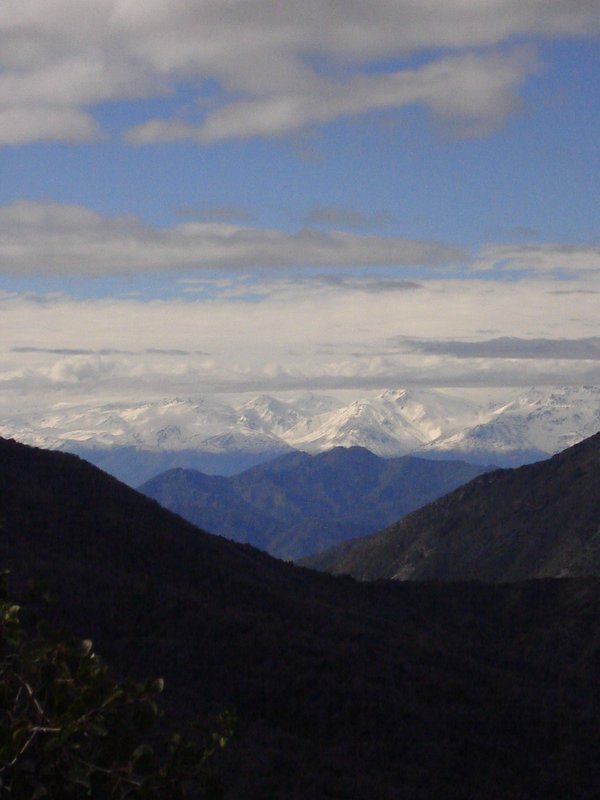 Foto de OLMUE, Chile