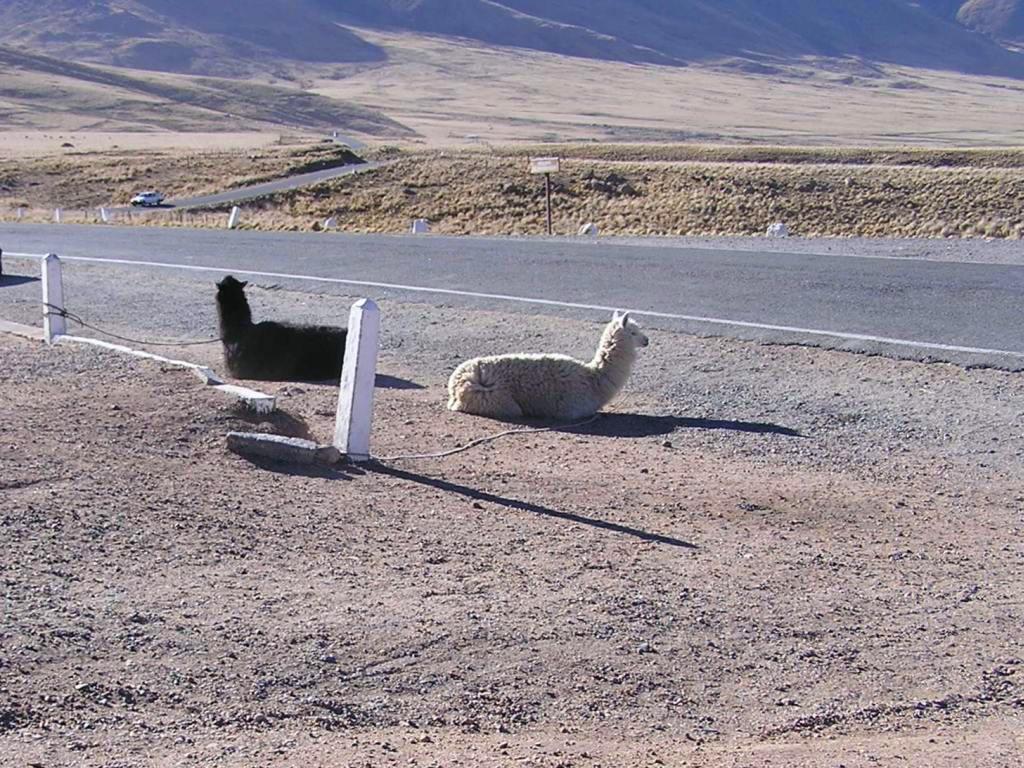 Foto de Abra El Infiernillo, Argentina