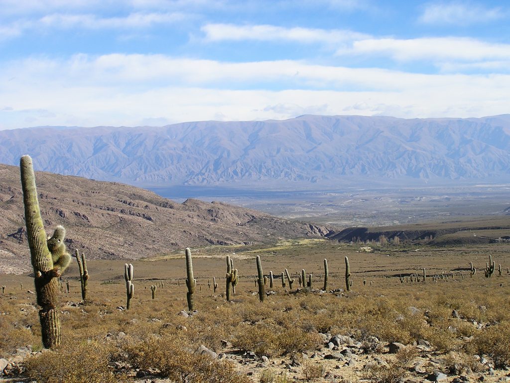 Foto de Los Cardones, Argentina