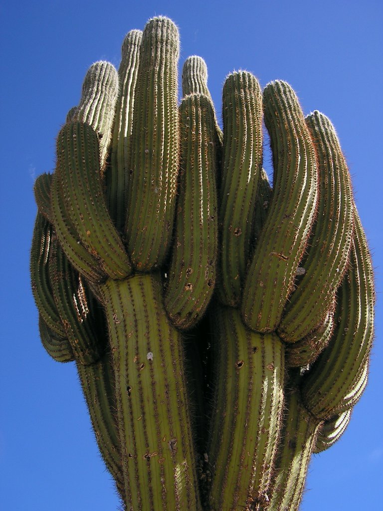 Foto de Quilmes, Argentina