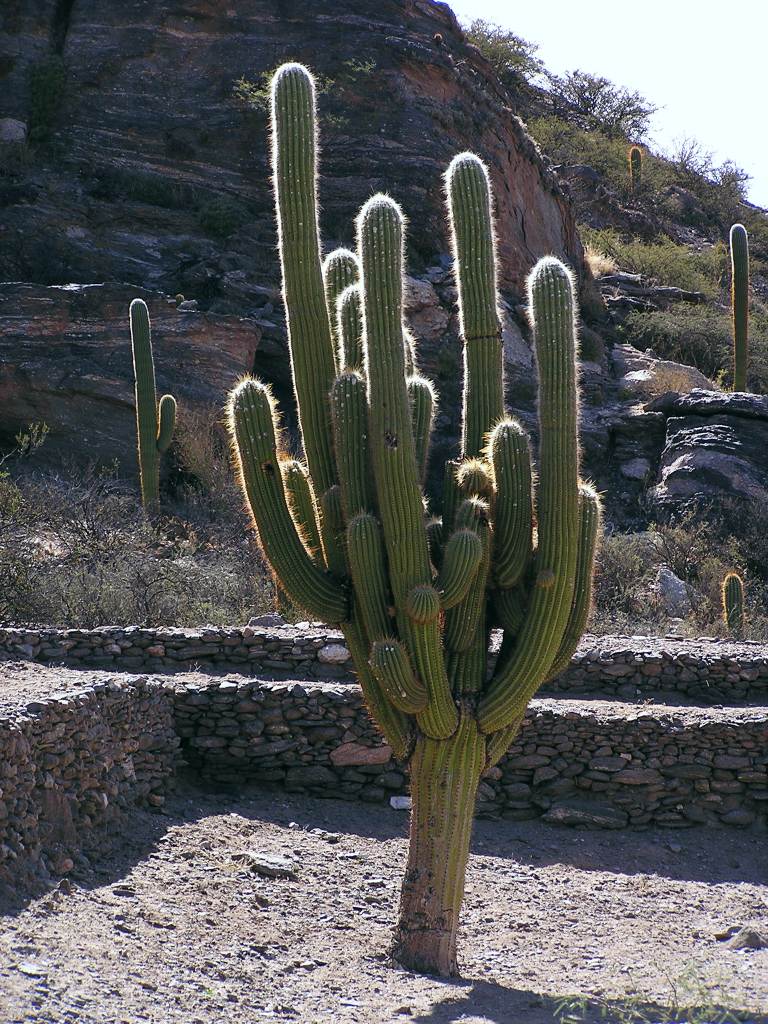 Foto de Quilmes, Argentina