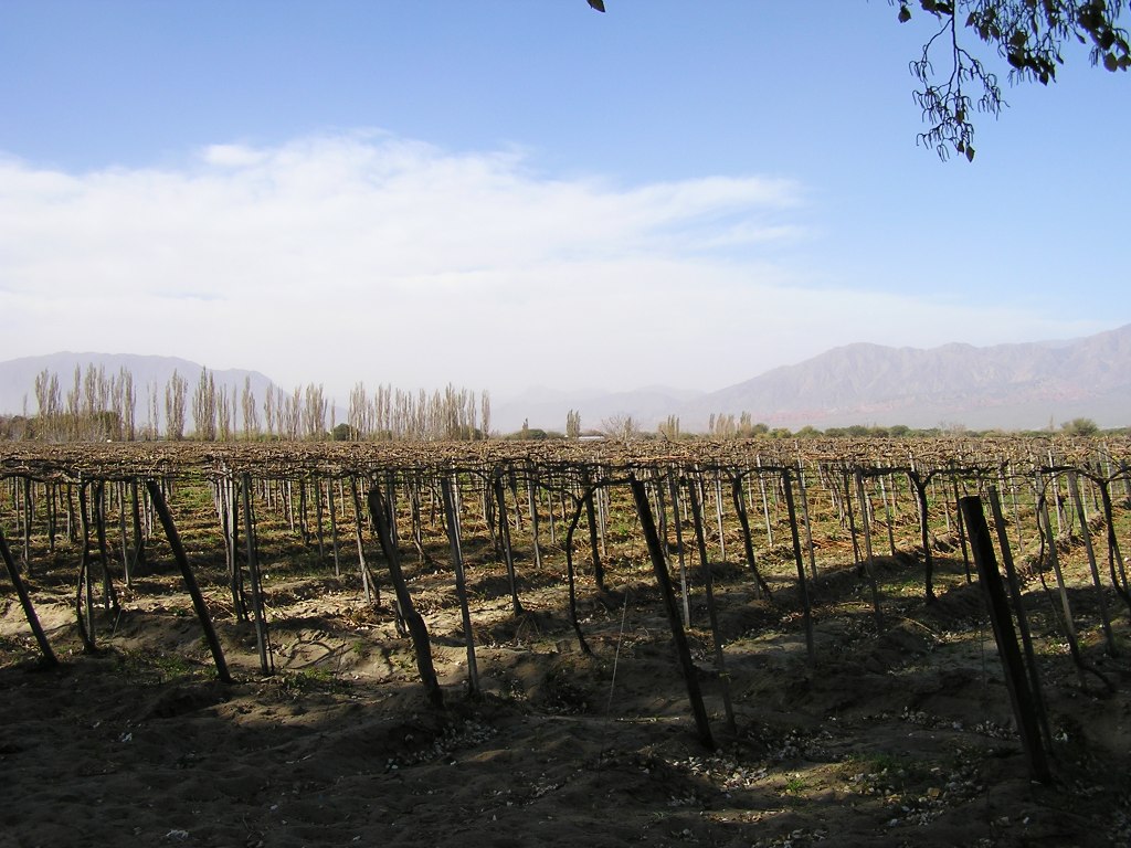 Foto de Cafayate, Argentina