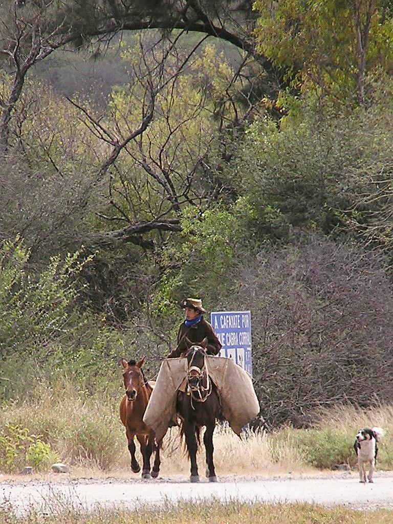 Foto de Salta, Argentina