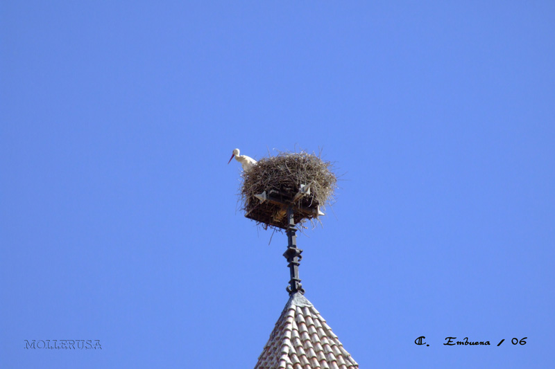 Foto de Mollerusa (Lleida), España