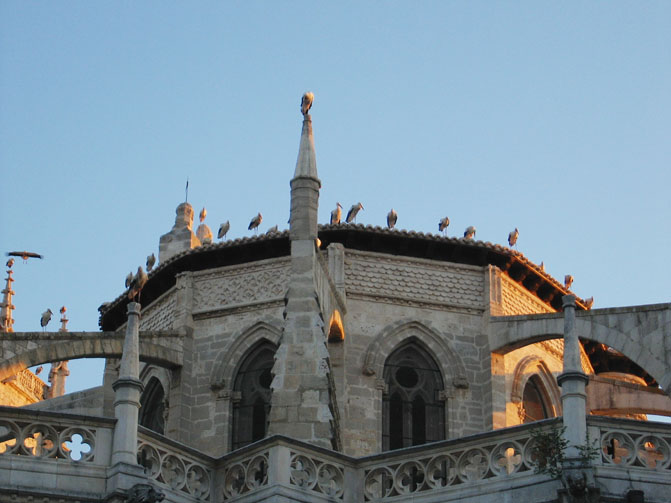 Foto de Palencia (Castilla y León), España