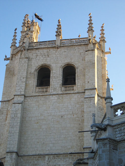 Foto de Palencia (Castilla y León), España