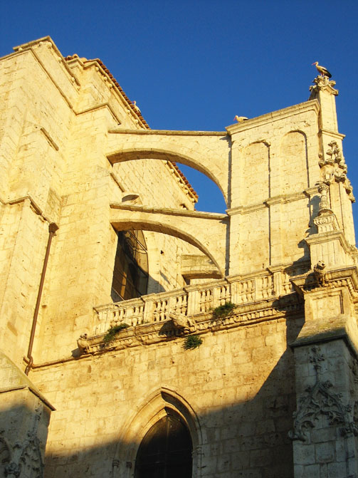 Foto de Palencia (Castilla y León), España