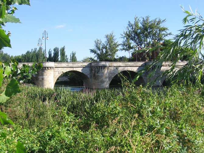 Foto de Palencia (Castilla y León), España