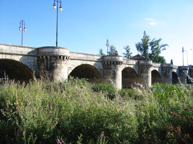 Foto de Palencia (Castilla y León), España