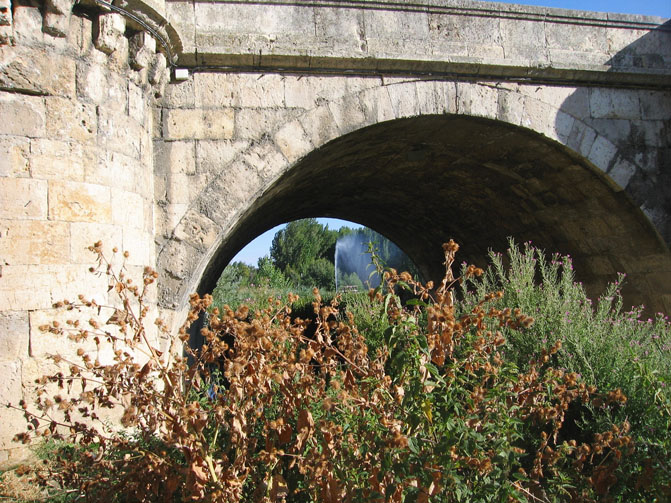 Foto de Palencia (Castilla y León), España