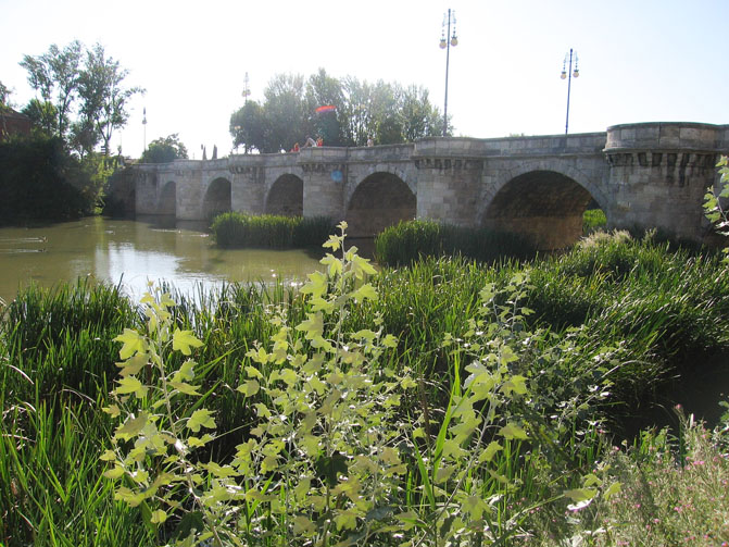 Foto de Palencia (Castilla y León), España