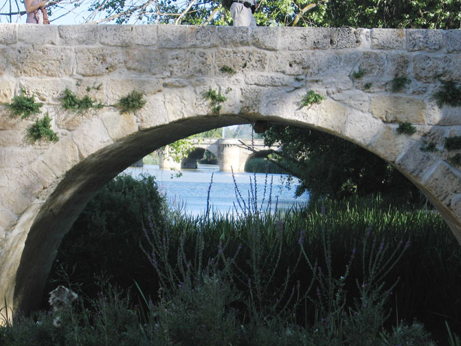 Foto de Palencia (Castilla y León), España