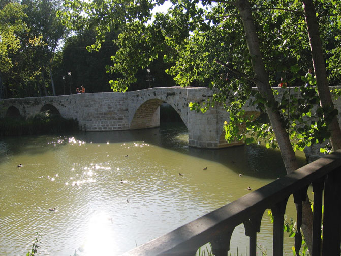 Foto de Palencia (Castilla y León), España