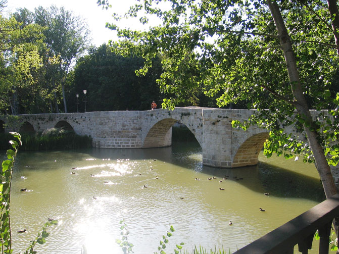Foto de Palencia (Castilla y León), España