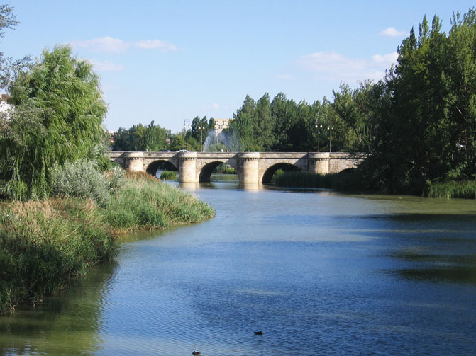 Foto de Palencia (Castilla y León), España