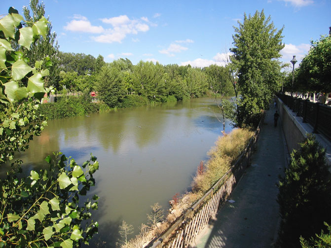 Foto de Palencia (Castilla y León), España