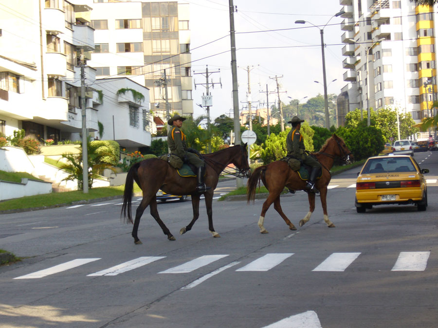 Foto de Pereira, Colombia