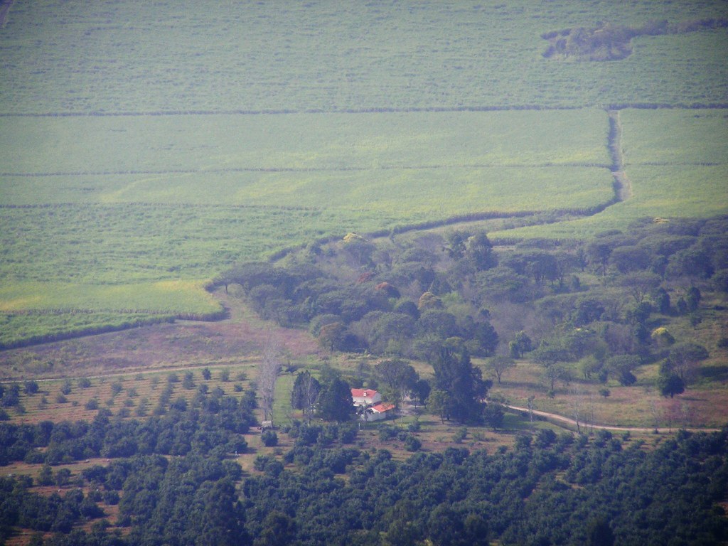 Foto de San Pablo, Argentina