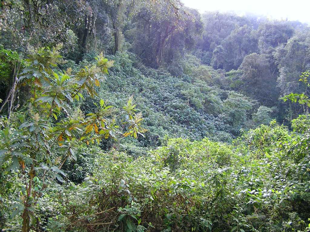Foto de Reserva Natural Los Sosa, Argentina