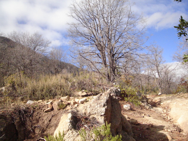 Foto de OLMUE, Chile