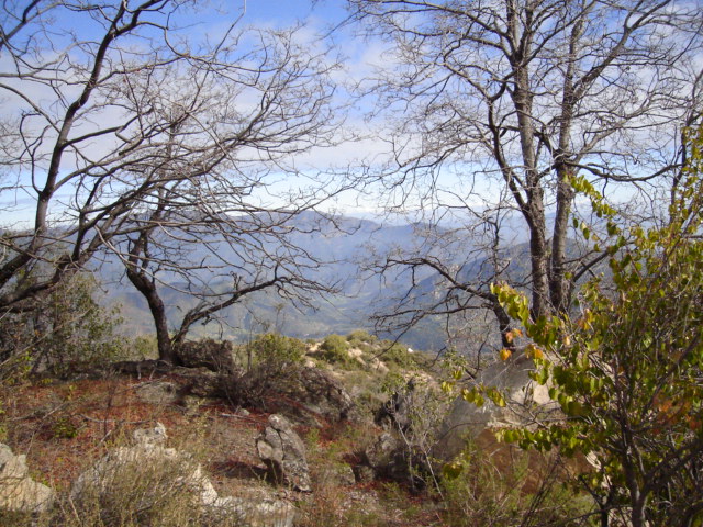 Foto de OLMUE, Chile