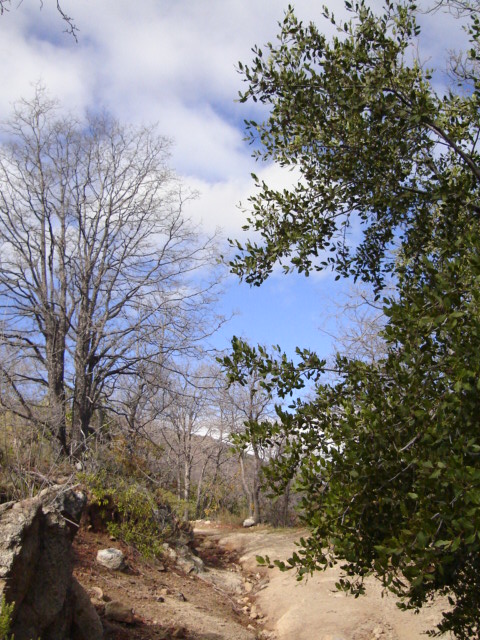 Foto de OLMUE, Chile