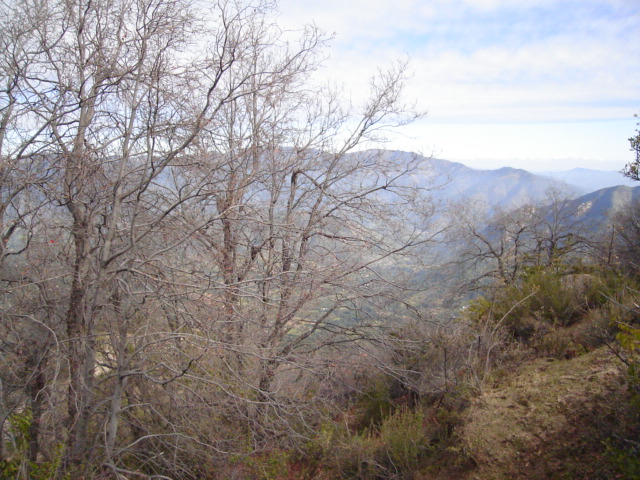 Foto de OLMUE, Chile