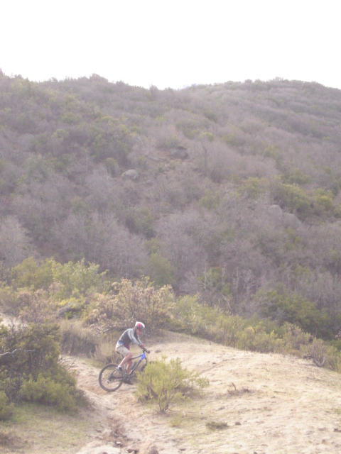 Foto de OLMUE, Chile