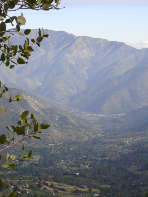 Foto de OLMUE, Chile