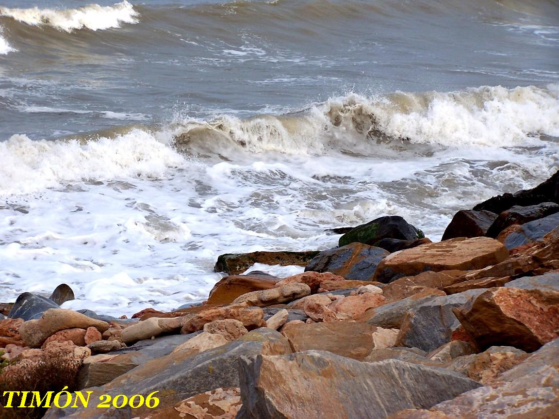 Foto de Torrevieja (Alicante), España