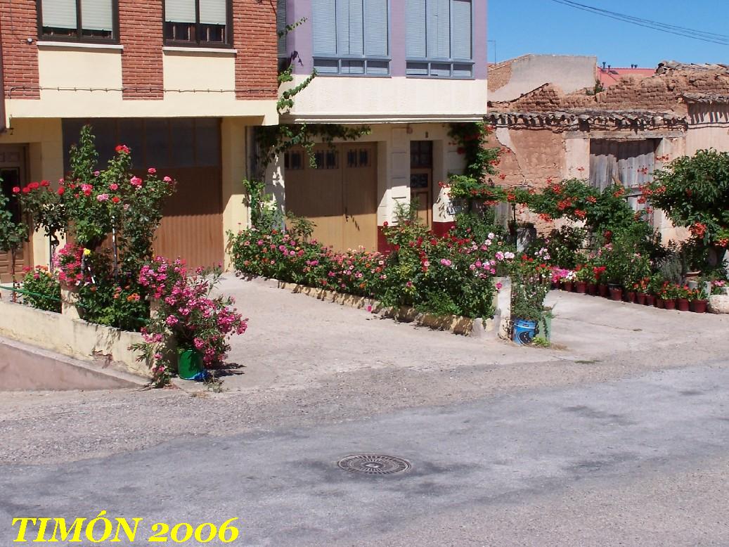 Foto de Lerma (Burgos), España