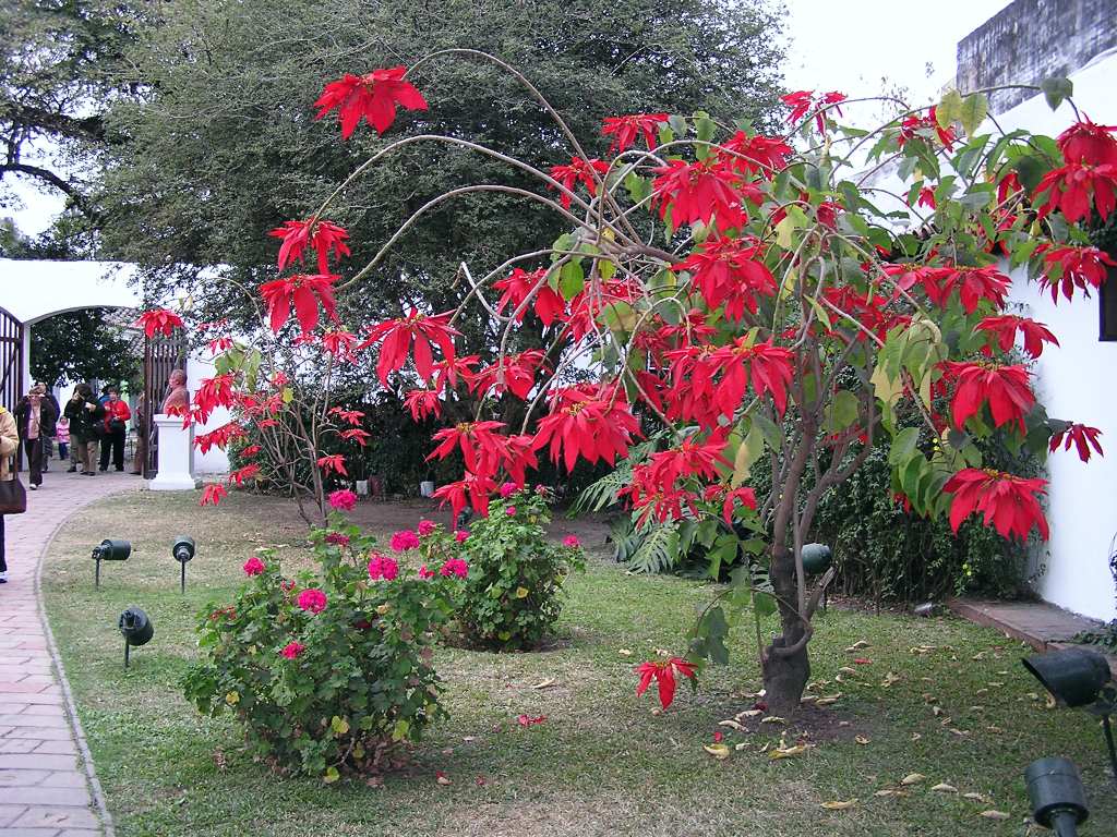 Foto de San Miguel de Tucumán, Argentina