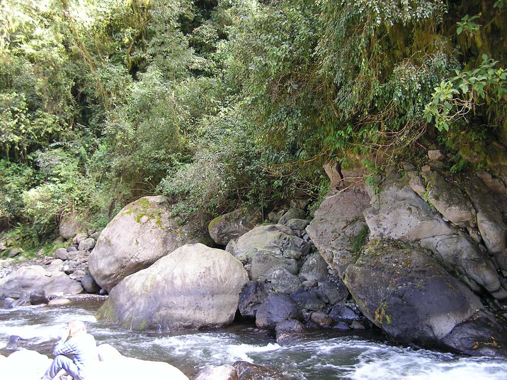 Foto de Reserva Natural Los Sosa, Argentina
