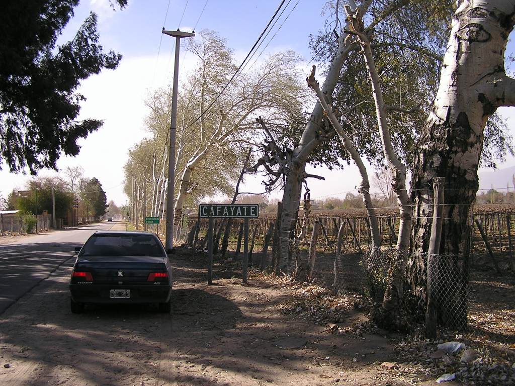 Foto de Cafayate, Argentina
